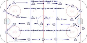 A3 Forward and Backward Striding.jpg
