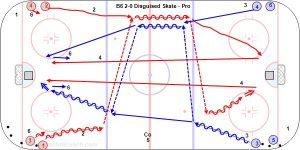 B6 2-0 Disguised Skate - Pro.jpg