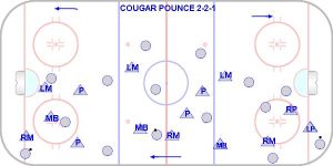 2-2-1 COUGAR POUNCE1.jpg