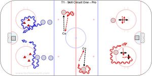 T1 - Skill Circuit One – Pro.jpg
